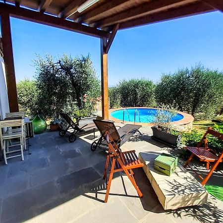 Hostal Selva Degli Ulivi Foiano Della Chiana Exterior foto